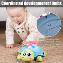 Montessori Musical Turtle Toy With Lights For Baby childrensterritory