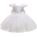 Girls Embroidery Bow Design Princess Dresses