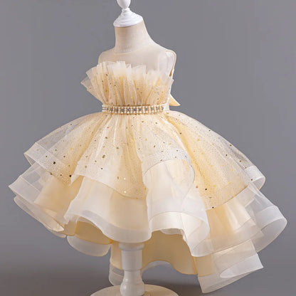 Flower Sequin Design Fluffy Princess Dresses For Girls childrensterritory