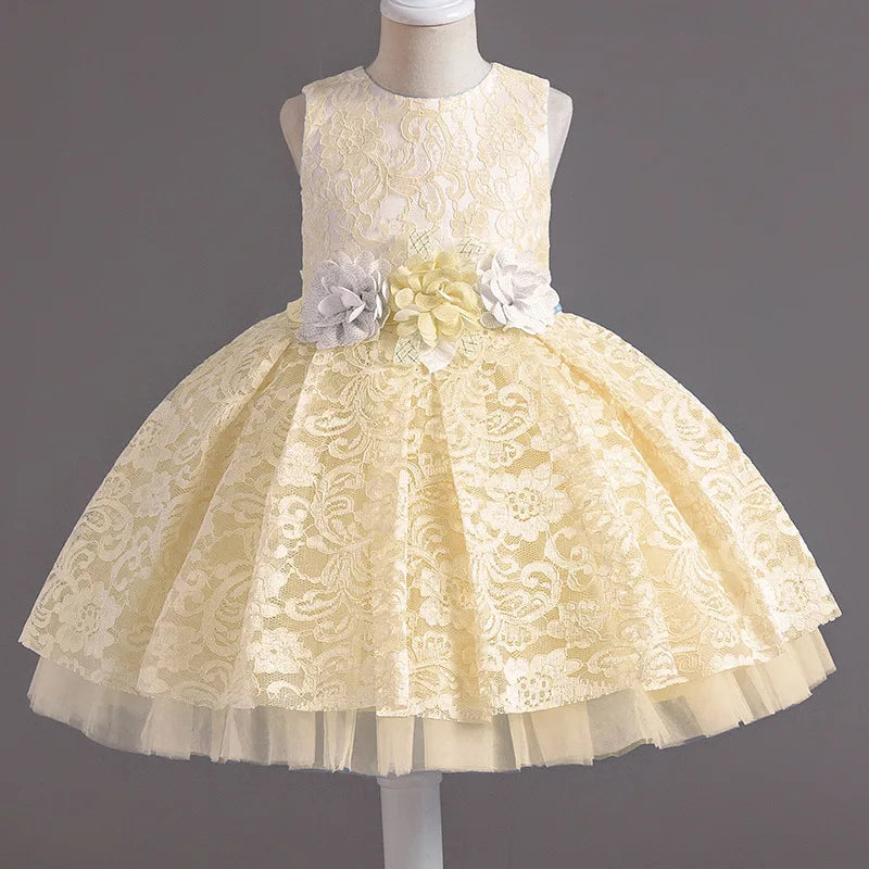 Baby Girl's Dress Lace Applique Design Princess Party Dresses