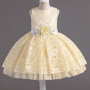 Baby Girl's Dress Lace Applique Design Princess Party Dresses childrensterritory