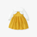 Little Girls Cotton Flowers Shirt + Dress Set for Autumn, Spring childrensterritory