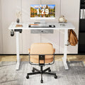 Adjustable Electric Standing Desk with Storage
