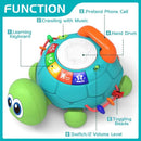 Montessori Musical Turtle Toy With Lights For Baby
