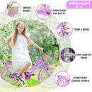 Kid Girls Bicycle with Basket, Front V Brake and Rear Coaster Brake childrensterritory