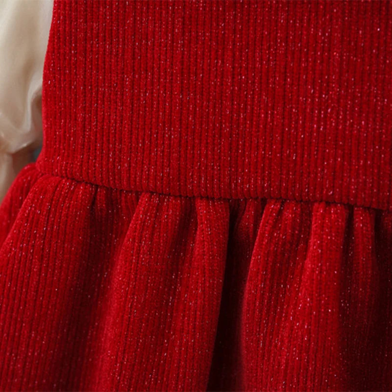 Baby Girls’ Elegant Long-Sleeve Winter Dresses