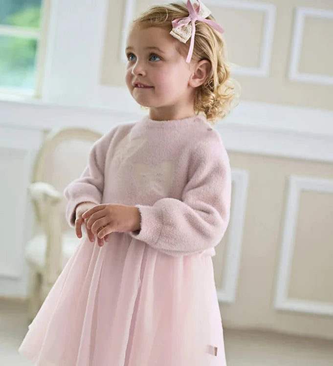 Cute Warm Fleece Upper and Mesh Bottom Girls Princess Dress childrensterritory