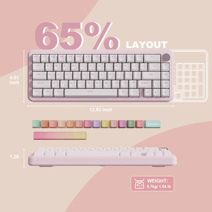 Tri-Mode Hot Swappable Wireless Gaming Keyboard for Win/Mac childrensterritory