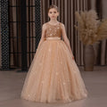 Kids Girls Puffy Sequin Embroidery Princess Party Dresses