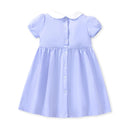 Toddler Girls Embroider Summer Princess Dresses childrensterritory