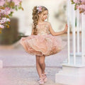Kids Girls Glitter Puffy Organza Princess Dress