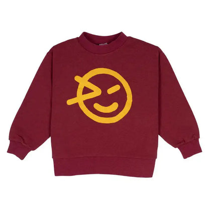 Autumn and Winter Printed Sweatshirt Pullover for Kids childrensterritory