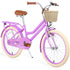 Kid Girls Bicycle with Basket, Front V Brake and Rear Coaster Brake childrensterritory