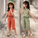 Little Girls Sleeveless T-shirt + Pants 2PCS Fashion Outfits childrensterritory