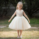 Elegant Bridesmaid Beading Design Girls Bridesmaid Dress childrensterritory