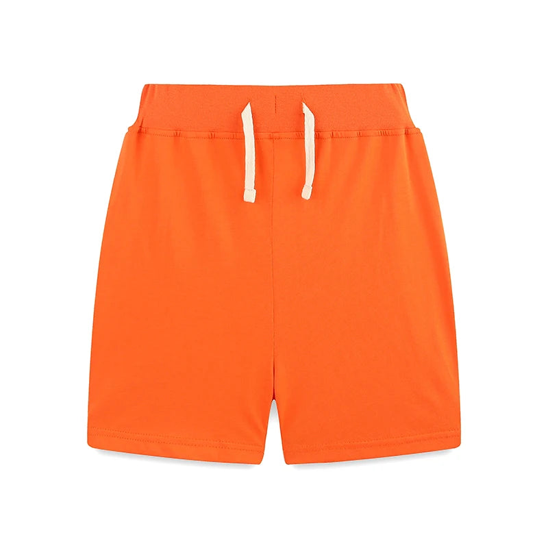 Boys Cartoon Print Summer Casual Clothing Set childrensterritory