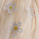 Newborn Baby Girl Long Sleeves Embroidery Design Party Dresses