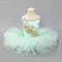 Swan Lake Tutu Ballet Performance Dresses for Girls childrensterritory