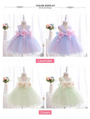 Toddler Girl Flower Decorated Tulle Wedding Party Dresses childrensterritory