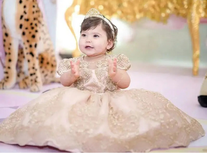 Fluffy Lace Design Baby Girl Birthday Dress childrensterritory