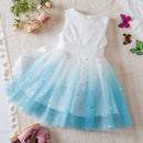 Kids Girls Tutu Princess Dresses for Birthday Party childrensterritory