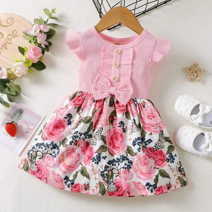 Little Girls Sleeveless Floral Princess Dress for Summer childrensterritory