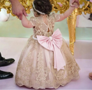 Fluffy Lace Design Baby Girl Birthday Dress childrensterritory