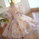 Kids Girls Luxury Fluffy Formal Lace Design Ball Gowns childrensterritory