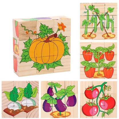 Kids Six Side Cube Jigsaw Wooden Blocks Toys
