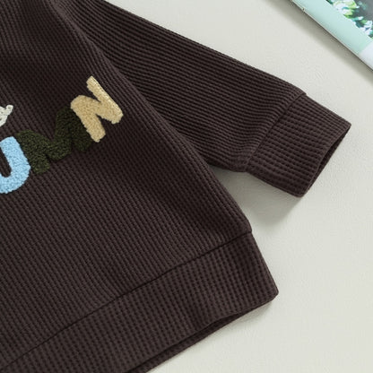 Baby Boy Letter Embroidery Full Sleeve Fall Tracksuit childrensterritory