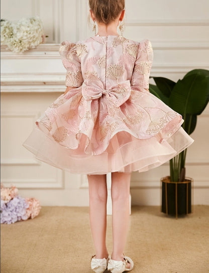 Elegant Embroidery Little Girl Lush Birthday Party Dresses childrensterritory