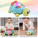Montessori Musical Turtle Toy With Lights For Baby childrensterritory