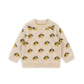 Full-Sleeve Printed Autumn Sweaters For Kids childrensterritory