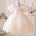 Flower Lace Design Sequins Ball Gown Party Dresses For Girls childrensterritory
