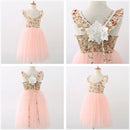 Little Girls Lace Design Fluffy Pink Wedding Party Dress childrensterritory