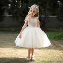 Elegant Bridesmaid Beading Design Girls Bridesmaid Dress childrensterritory