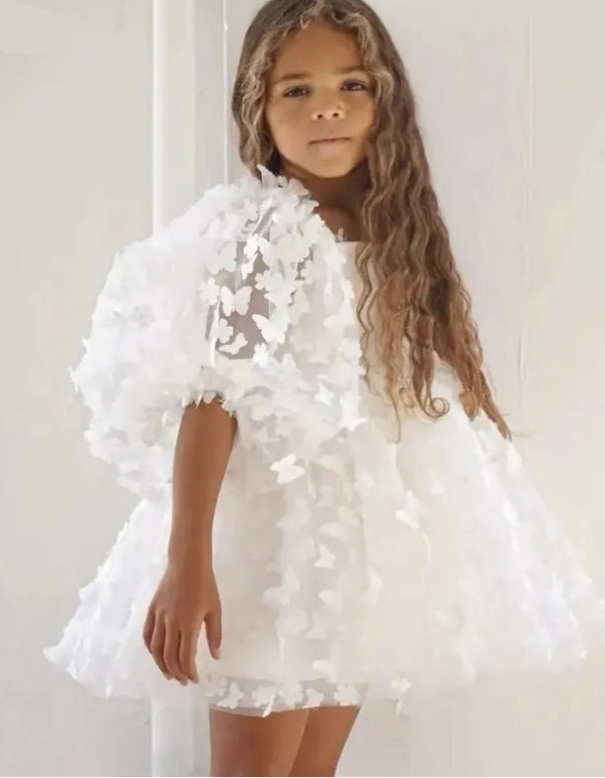 Little Girl Butterfly Design Pageant Party Birthday Dresses childrensterritory