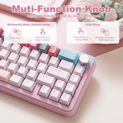 Tri-Mode Hot Swappable Wireless Gaming Keyboard for Win/Mac childrensterritory