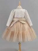 Little Girls Elegant Fluffy Princess Dress Set for Spring Autumn childrensterritory