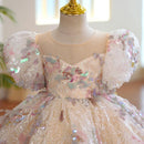 Kids Girls Luxury Fluffy Formal Lace Design Ball Gowns childrensterritory