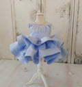 Little Girls Tutu Pageant Gown with Bow for Special Occasions childrensterritory