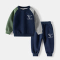 Little Boys Color Patchwork Two-Piece Casual Tracksuits childrensterritory