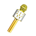 Kids Fun Wireless Bluetooth Microphone for Music and Karaoke childrensterritory