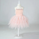 Sleeveless Lace Design Princess Dresses For Girls