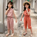 Little Girls Sleeveless T-shirt + Pants 2PCS Fashion Outfits childrensterritory