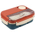 Leakproof 4 Compartments Bento Box for Adults childrensterritory
