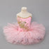 Swan Lake Tutu Ballet Performance Dresses for Girls childrensterritory