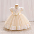 Baby Girl Sequin Lace Designed Fluffy Baptism, Birthday Dress