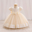 Baby Girl Sequin Lace Designed Fluffy Baptism, Birthday Dress