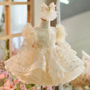 Girls Long Sleeves Butterfly Design Fluffy Party Dresses childrensterritory